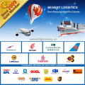 Hong Kong Professional Sea Freight Service to Toronto